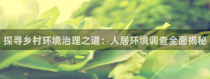 凯发官网首页：探寻乡村环境治理之道：人居环境调查全面揭秘