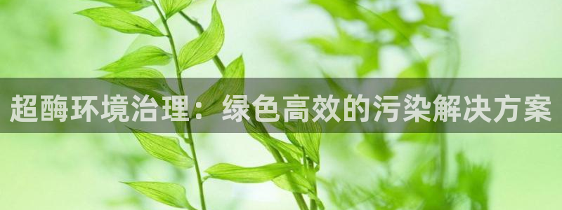 k8凯发|超酶环境治理：绿色高效的污染解