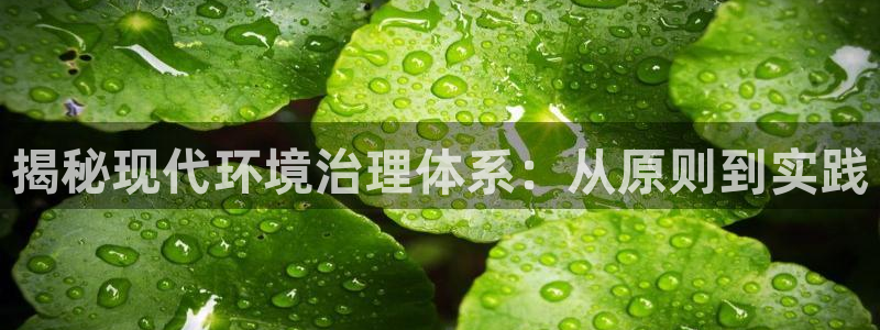 凯发k8一触即发|揭秘现代环境治理体系：从原则到实践